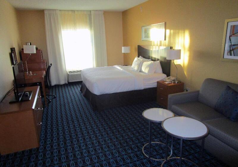 Стандартный Номер Кровать Кинг, Fairfield Inn & Suites By Marriott Denver Tech Center/ South