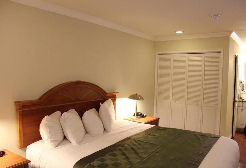 Стандартный Номер Кровать Кинг, Garden Inn