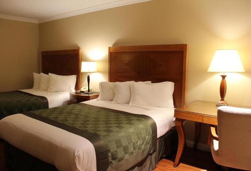 Номер Стандарт, Garden Inn