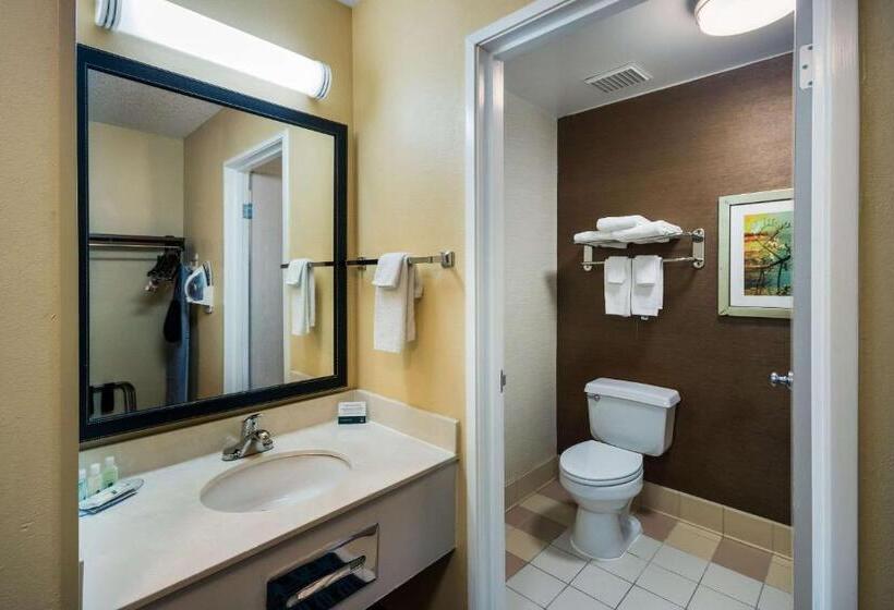 Стандартный Номер Кровать Кинг, Quality Inn & Suites Bozeman