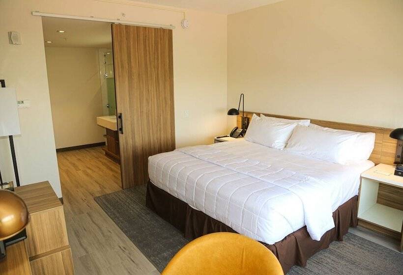 اتاق لوکس, Wyndham Garden North Bergen   Secaucus