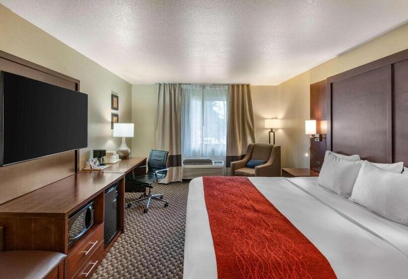 스탠다드 룸 킹사이즈 침대, Comfort Inn Fairfield Napa Valley Area