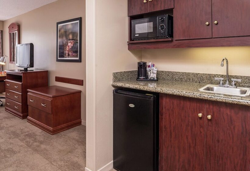 חדר סטנדרט מיטה זוגית, Hampton Inn Columbia Northeastfort Jackson Area