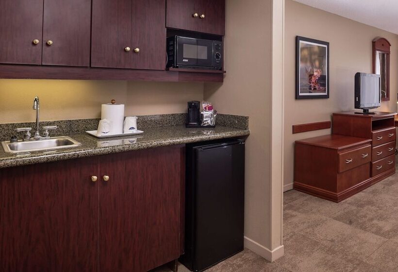 חדר סטנדרט מיטה זוגית, Hampton Inn Columbia Northeastfort Jackson Area