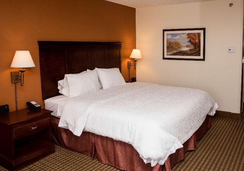 스탠다드 룸 킹사이즈 침대, Hampton Inn North Platte