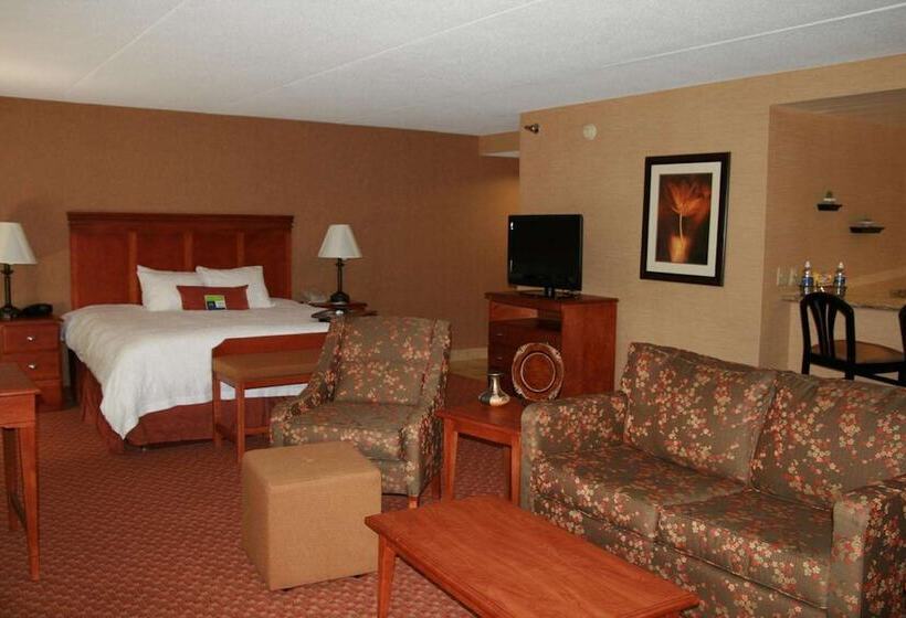 スイート, Hampton Inn Peoriaeast At The River Boat Crossing