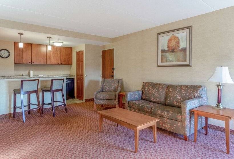 スイート, Hampton Inn Peoriaeast At The River Boat Crossing