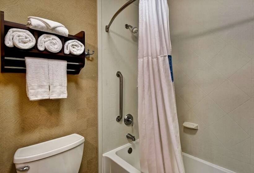 Номер Стандарт 2 Двуспальные Кровати, Hampton Inn Starkville
