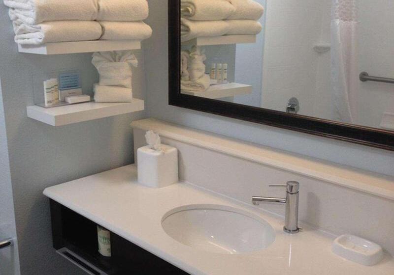 스탠다드 스튜디오 킹침대, Hampton Inn Tampa/rocky Pointairport