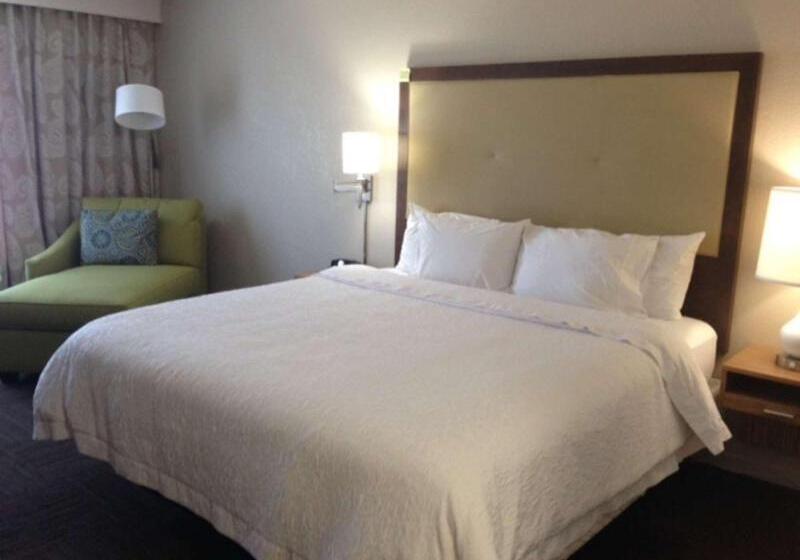 스탠다드 룸 킹사이즈 침대, Hampton Inn Tampa/rocky Pointairport