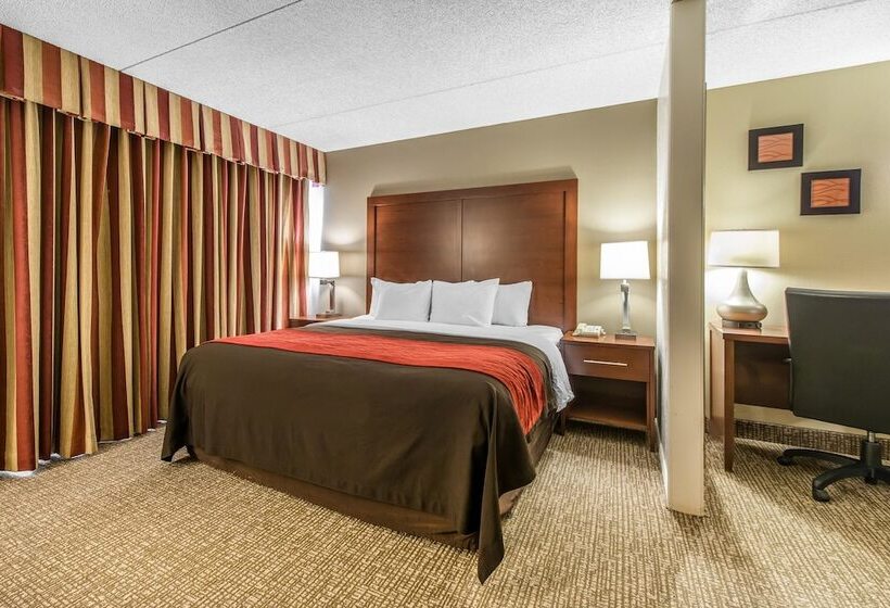 Люкс, Comfort Inn & Suites Denver Northfield