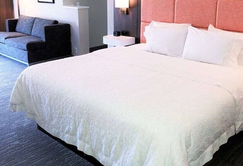 Люкс, Hampton Inn Williamsportdowntown