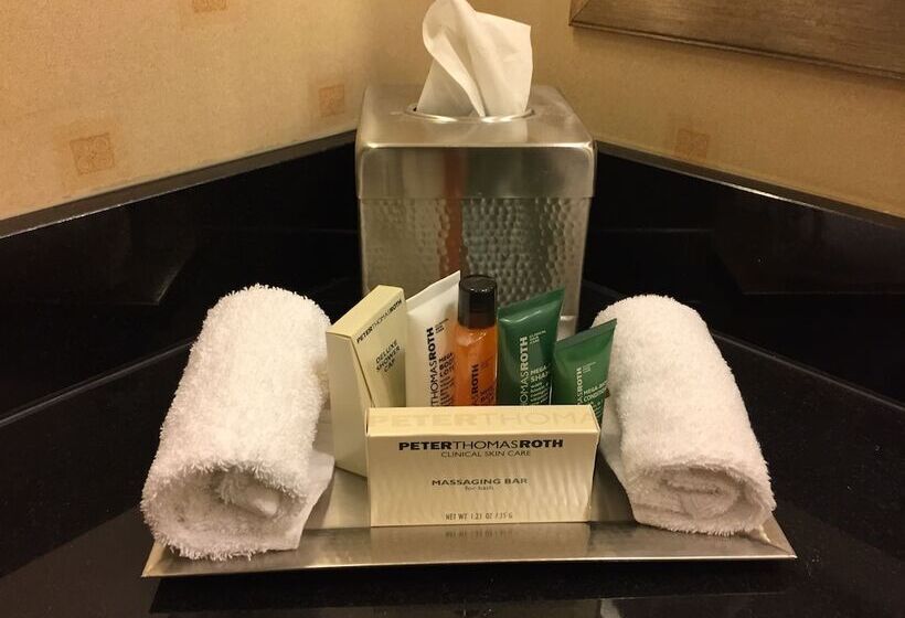 Cameră Business, Hilton Chicago O'Hare Airport