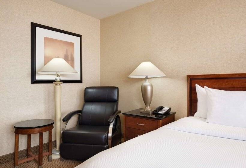 商务房间, Hilton Chicago O'Hare Airport