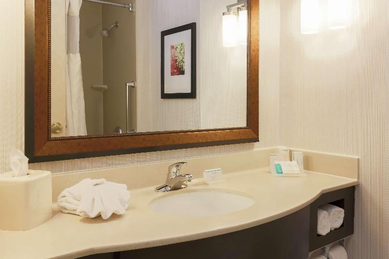 Стандартный Номер Кровать Кинг, Hilton Garden Inn Tallahassee