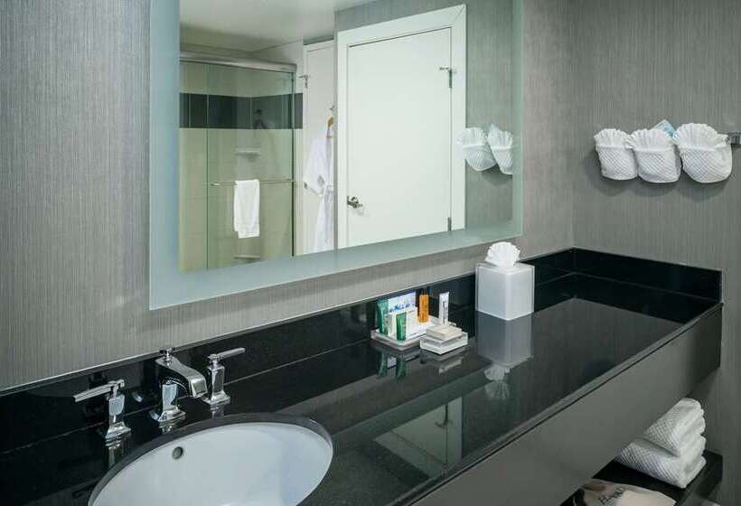 Студио Стандарт Кровать Кинг, Hilton Grand Vacations Club Seaworld® Orlando