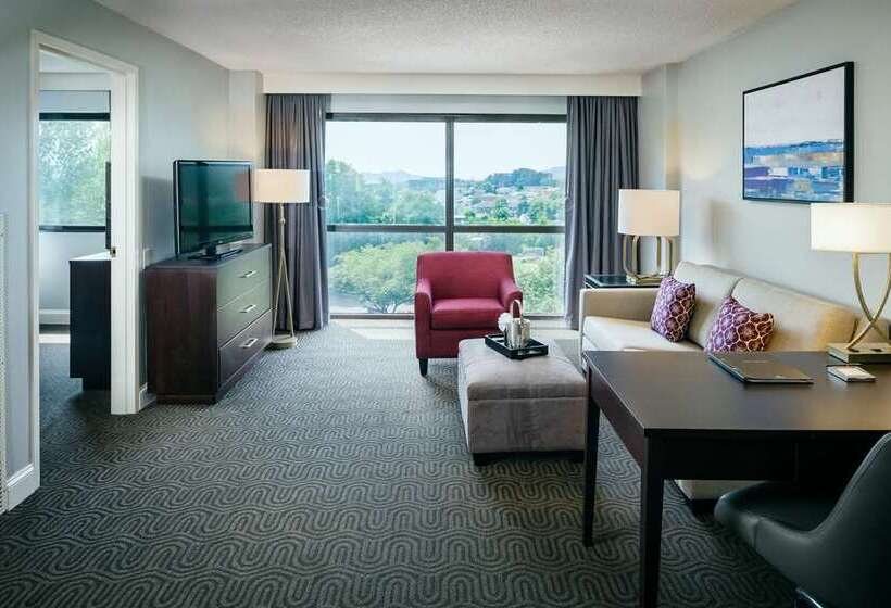 Студио Стандарт Кровать Кинг, Hilton Grand Vacations Club Seaworld® Orlando