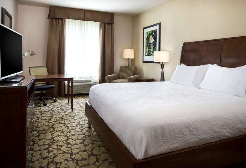 キングサイズベッドのスタンダードルーム, Hilton Minneapolis