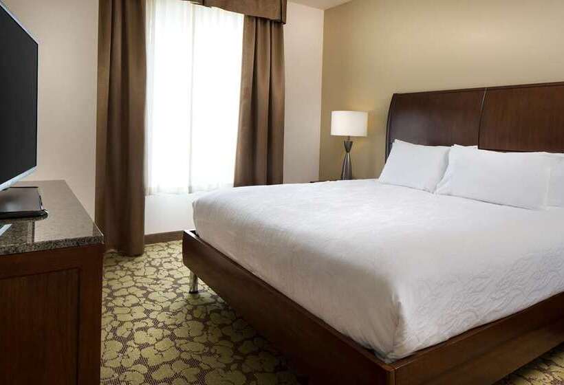 キングサイズベッドのスタンダードルーム, Hilton Minneapolis