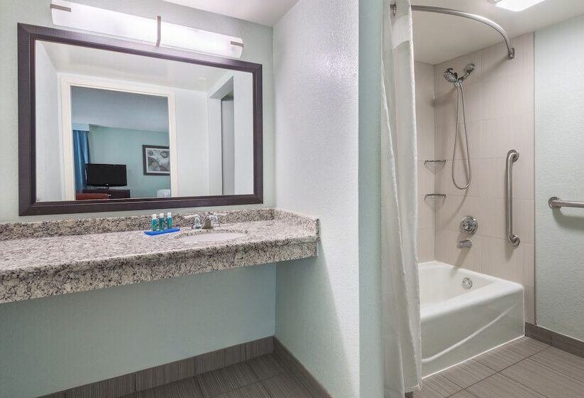 스탠다드 룸, Holiday Inn Express Hotel & Suites Ft. Lauderdale Plantation, An Ihg