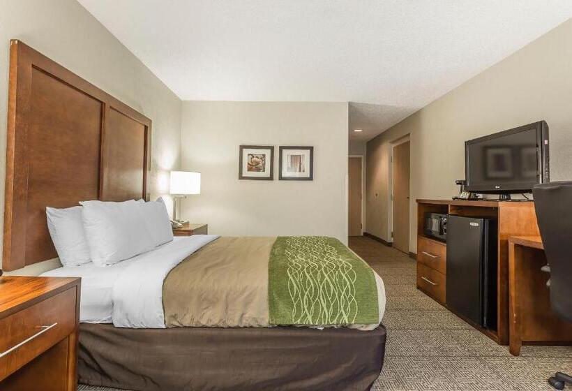 Номер Стандарт Адаптированный для Инвалидов, Quality Inn Summervillecharleston