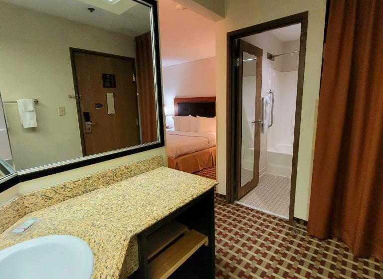 스탠다드 룸 킹사이즈 침대, Best Western Marion