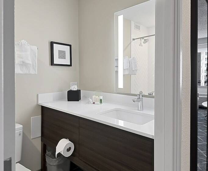 Standard Szoba 2 Franciaággyal, Holiday Inn Hotel & Suites Chicago   Downtown, An Ihg
