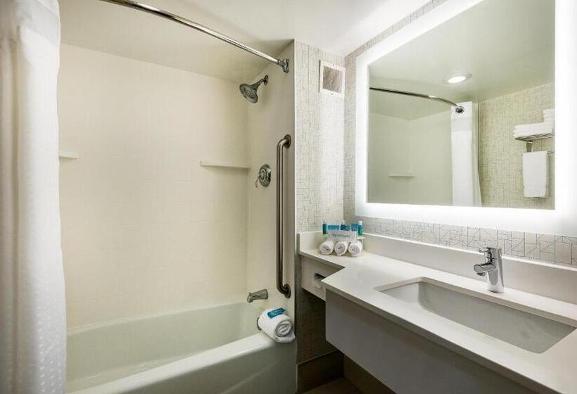 Стандартный Номер Кровать Кинг, Holiday Inn Express Flint Campus Area, An Ihg