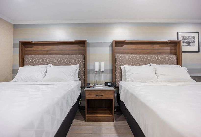 Номер Стандарт 2 Двуспальные Кровати, Holiday Inn Plainview Long Island, An Ihg