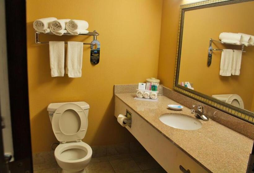 장애인을 위한 킹사이즈 침대 스탠다드 룸, Lexington Inn And Suites