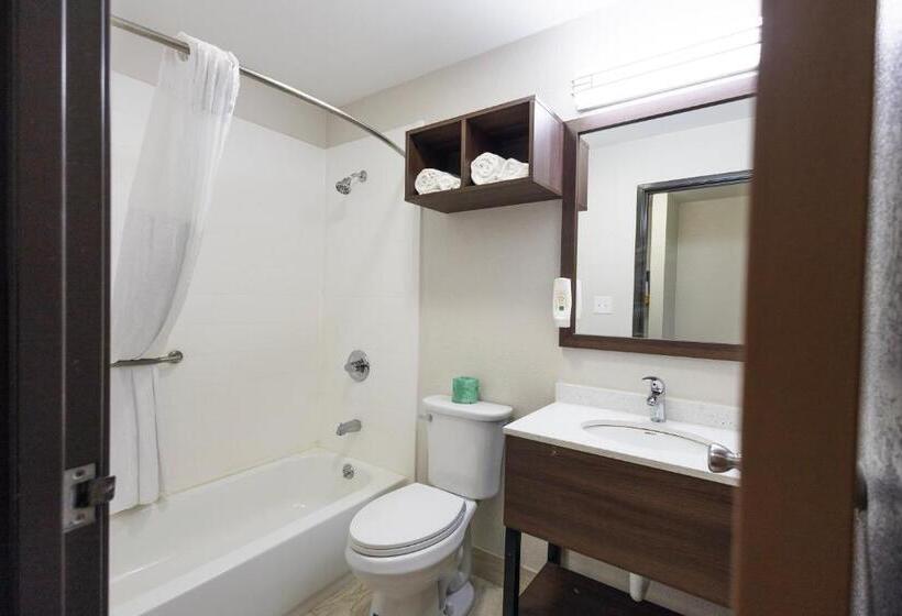 스탠다드 룸 킹사이즈 침대, Quality Inn