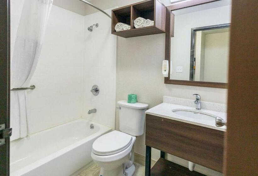 스탠다드 룸 킹사이즈 침대, Quality Inn