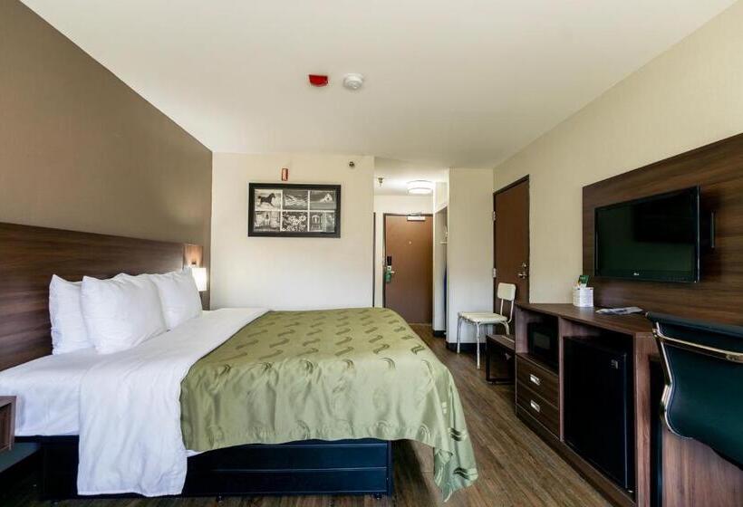 장애인을 위한 킹사이즈 침대 스탠다드 룸, Quality Inn