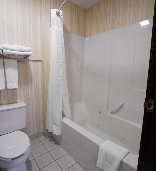Люкс Повышенной Комфортности, Miles City Hotel & Suites