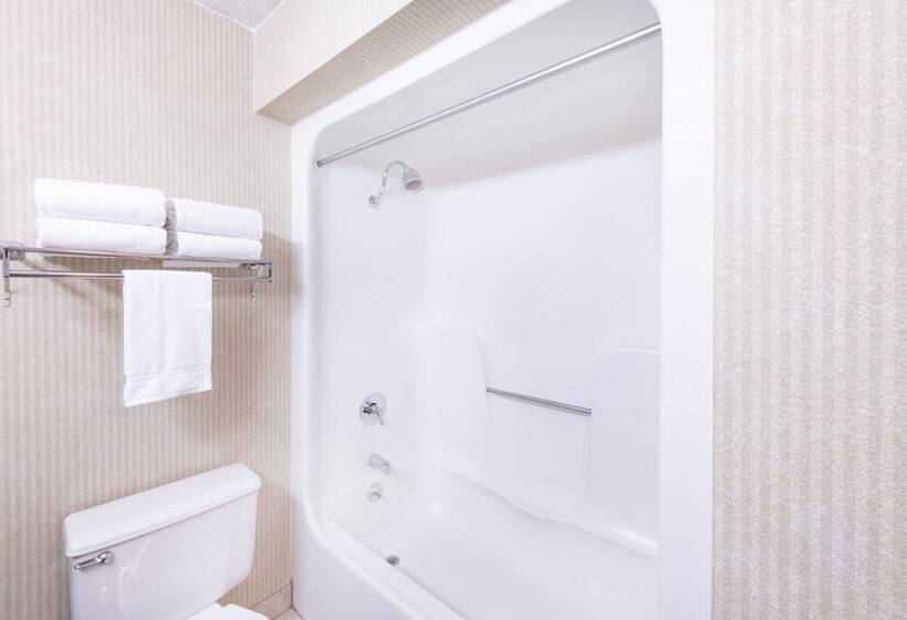 Номер Стандарт 2 Двуспальные Кровати, Aviator Hotel & Suites South I 55, Bw Signature Collection