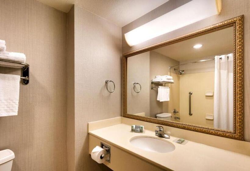 סוויטה, Best Western Downtown Phoenix
