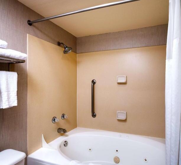 מיטת קינג בסוויטה, Best Western Downtown Phoenix