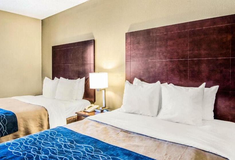 标准间, Comfort Inn Atlanta Downtown South