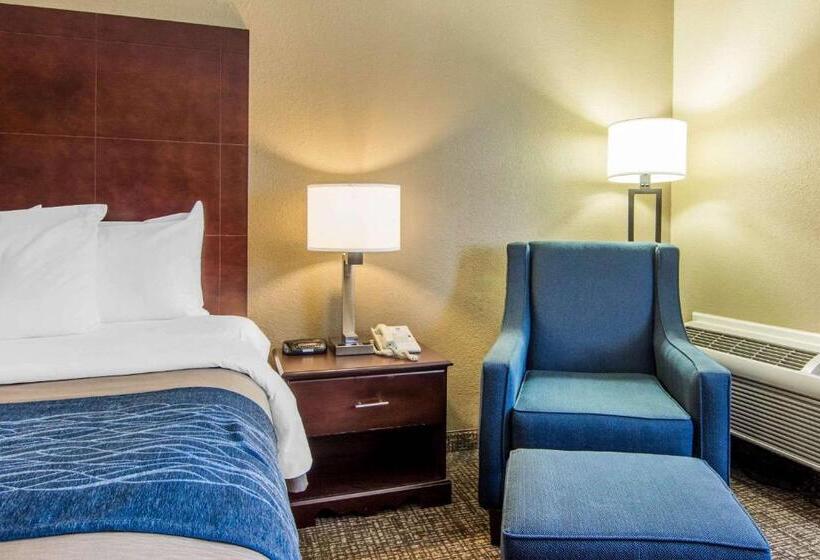 带大床的标准间, Comfort Inn Atlanta Downtown South