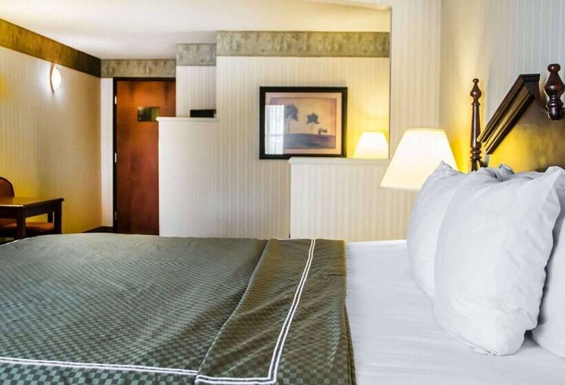 Люкс, Comfort Suites Mcalester