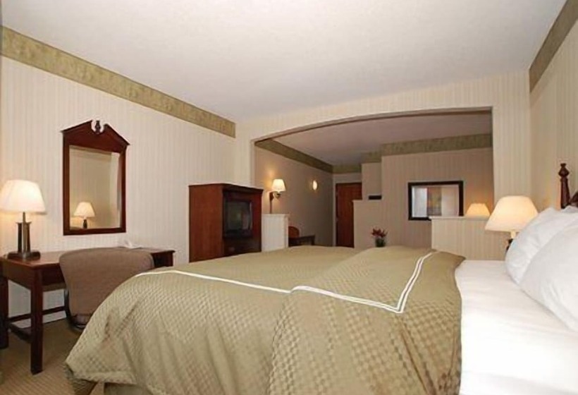 Люкс, Comfort Suites Mcalester