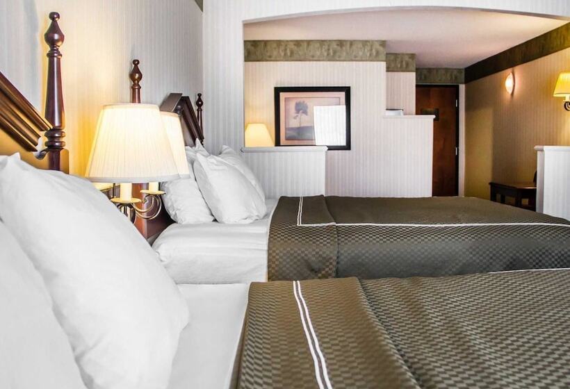 Люкс, Comfort Suites Mcalester