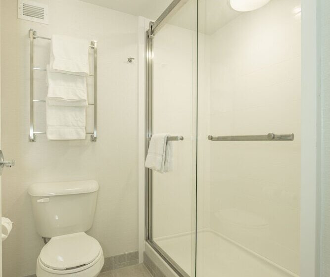 Номер Стандарт 2 Двуспальные Кровати, Holiday Inn Hotel And Suites Peachtree City, An Ihg