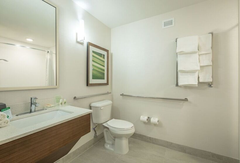 Номер Стандарт, Holiday Inn Hotel And Suites Peachtree City, An Ihg