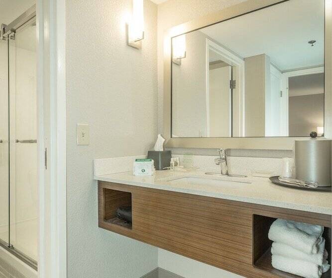 Люкс, Holiday Inn Hotel And Suites Peachtree City, An Ihg