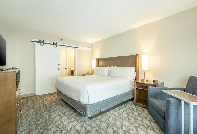 Люкс, Holiday Inn Hotel And Suites Peachtree City, An Ihg