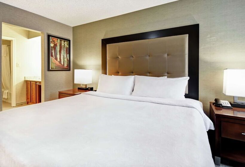 סוויטה, Homewood Suites By Hilton Atlantagalleria/cumberland