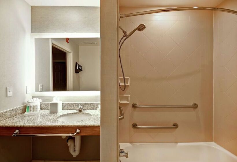 סוויטה מותאמת לאדם עם מוגבלויות, Homewood Suites By Hilton Atlantagalleria/cumberland