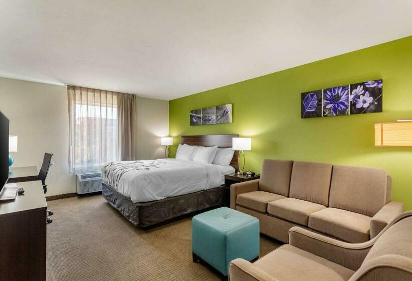 キングサイズベッドのスイートルーム, Sleep Inn & Suites Gallatin   Nashville Metro