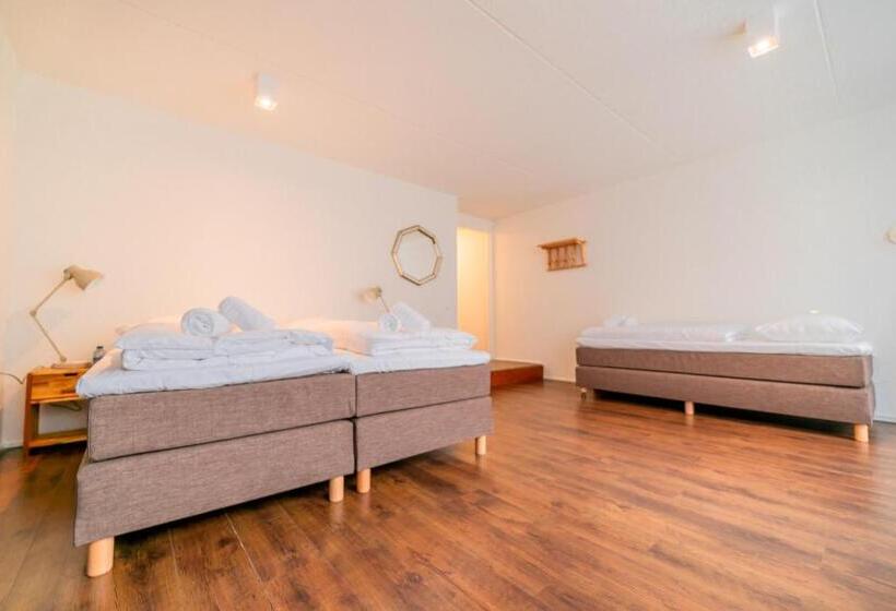 이코노미 룸, Pink Flamingo Boutique Hostel